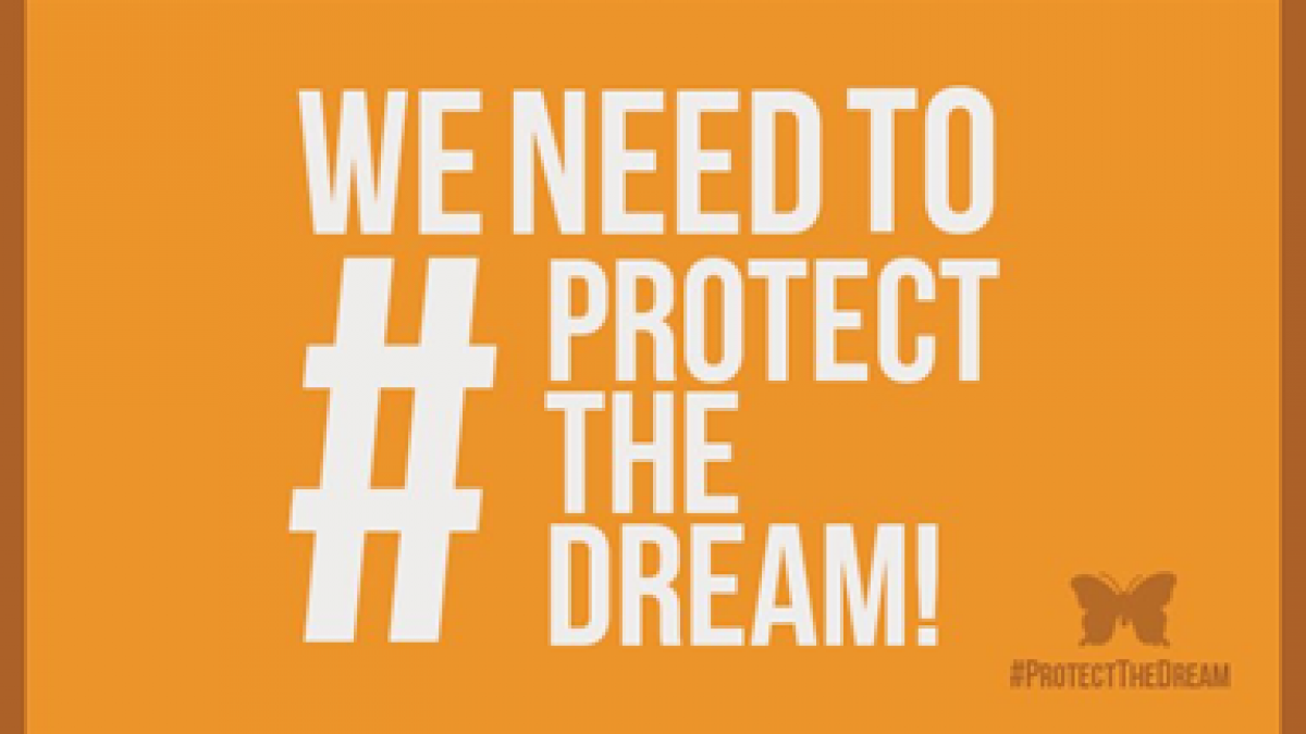 protect the dream