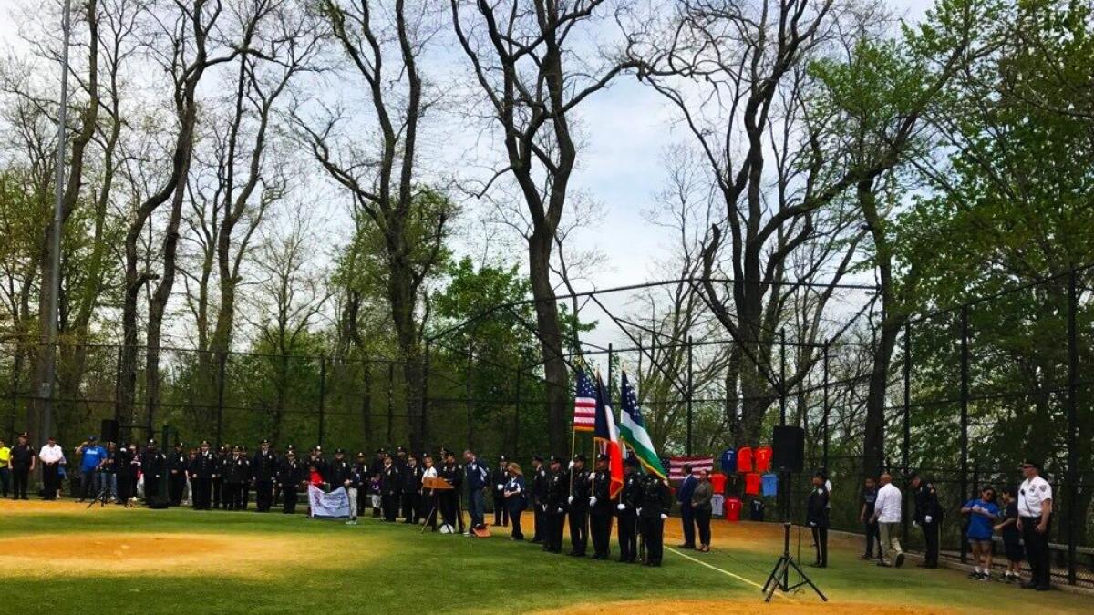 Gathering in a wooded park