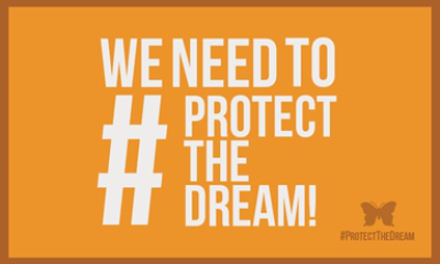 protect the dream
