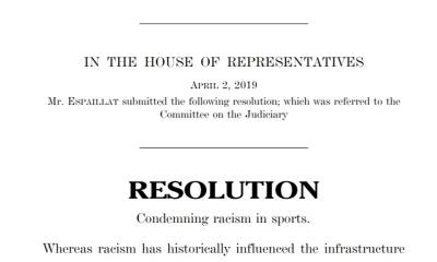 Racism in Sports